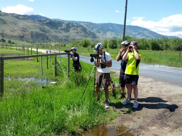 Birding frenzy at Road 22