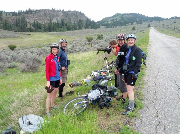 Having lunch with the competition at White Lake.  Sage Thrasher!